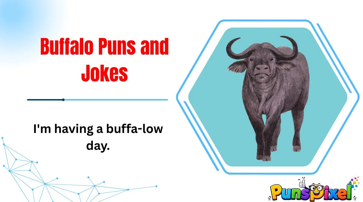 Buffalo Puns and Jokes