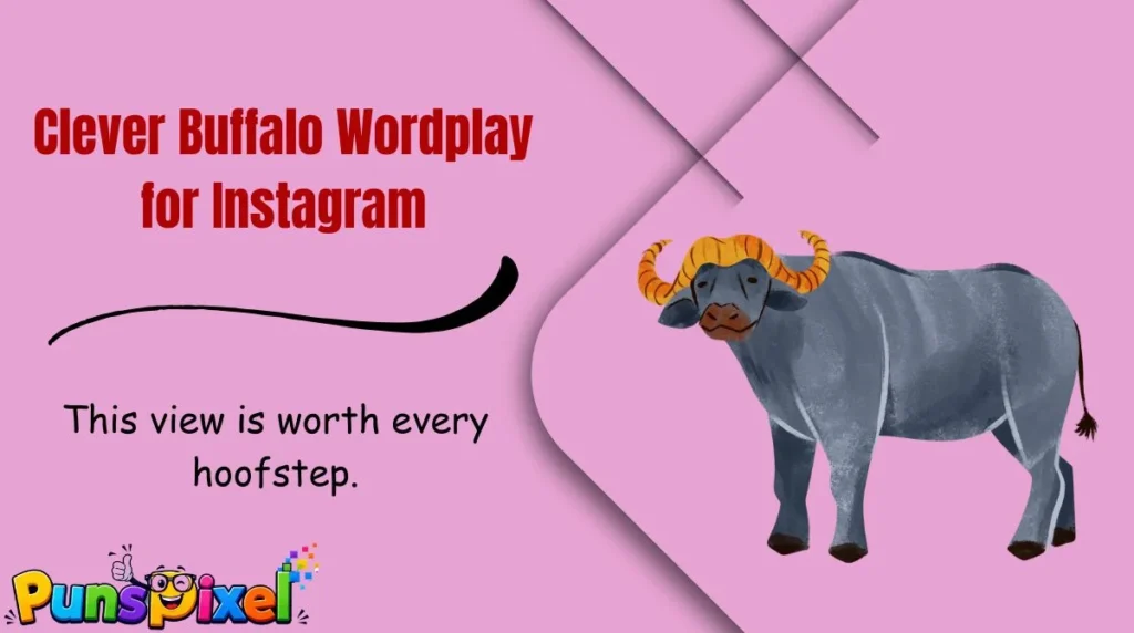 Clever Buffalo Wordplay for Instagram