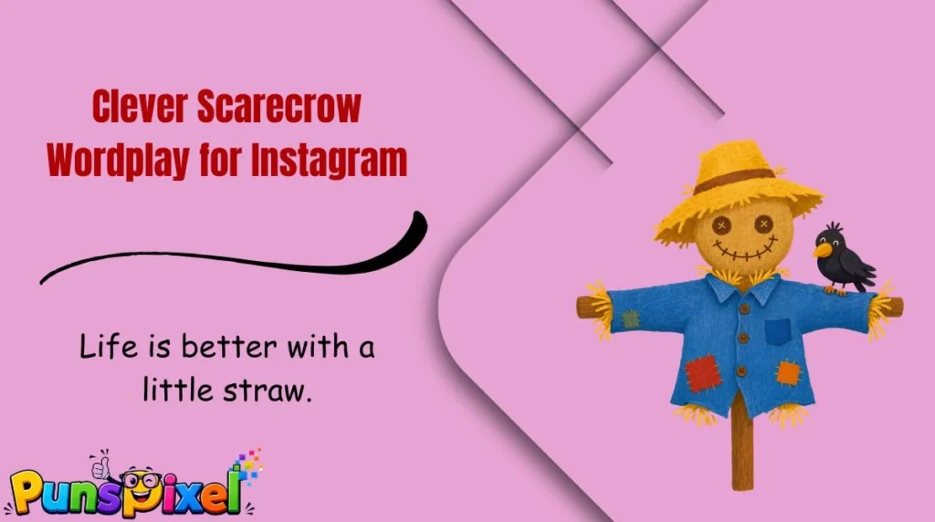 Clever Scarecrow Wordplay for Instagram