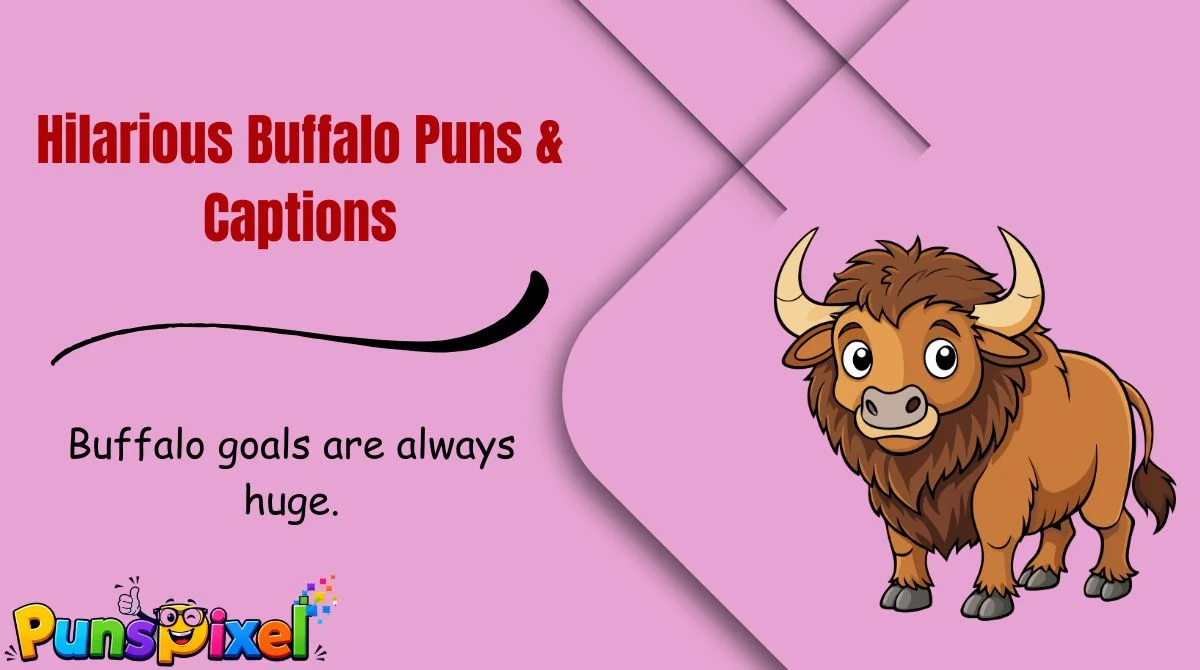Hilarious Buffalo Puns & Captions