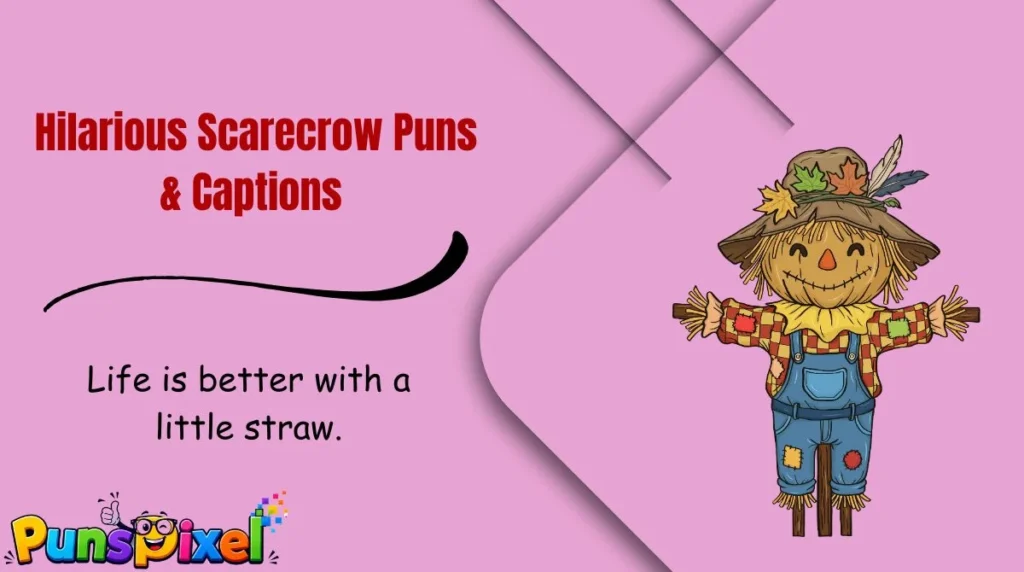 Hilarious Scarecrow Puns & Captions 