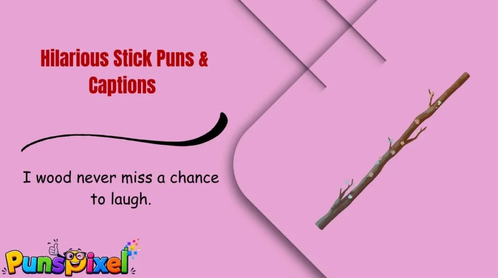 Hilarious Stick Puns & Captions
