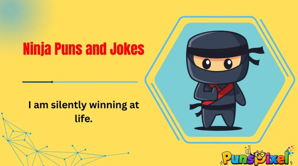 Ninja Puns and Jokes