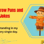 Scarecrow Puns and Jokes